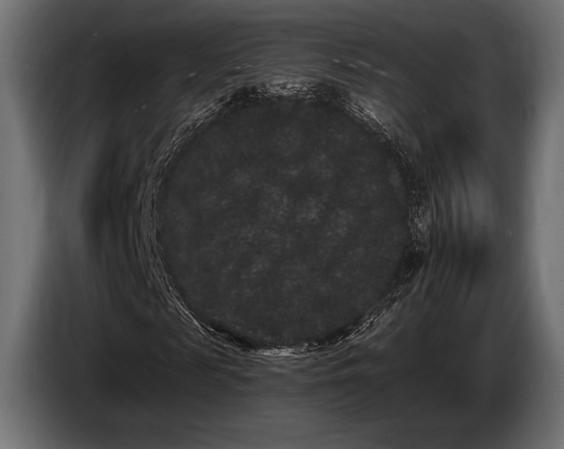 X0000085040817200703051349