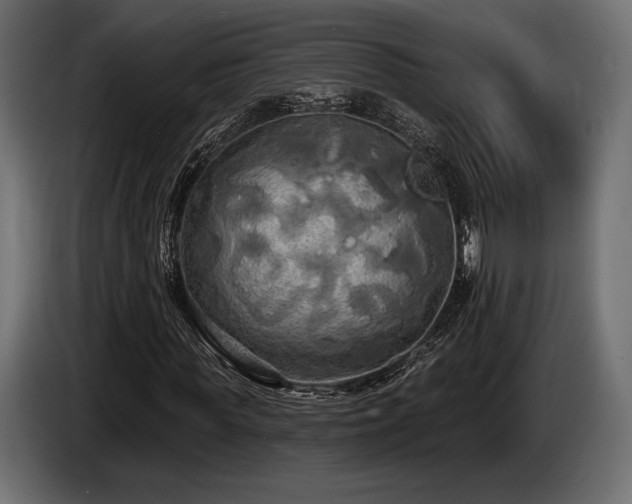 X0000085040819200703051349