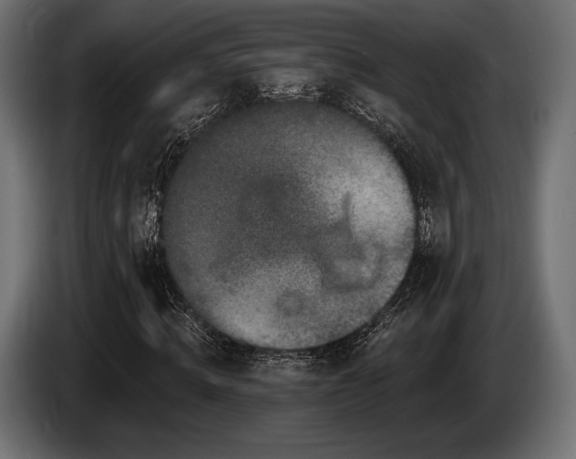 X0000085040820200703051349