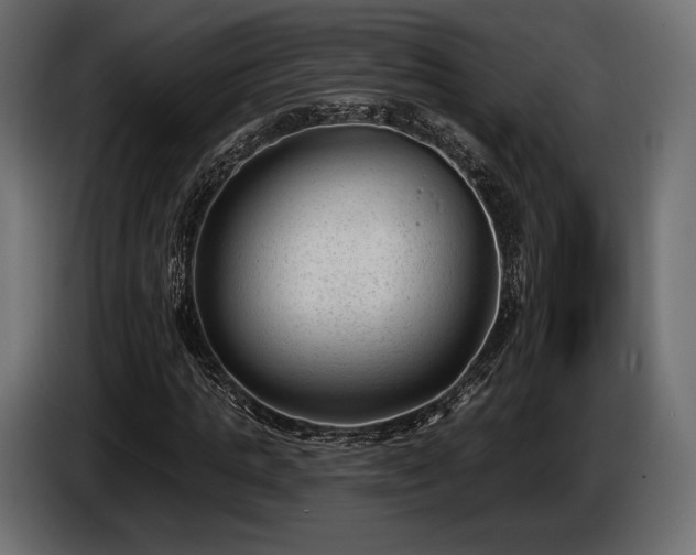 X0000085040821200703051349
