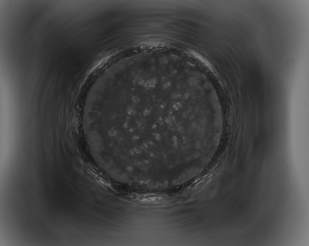 X0000085040823200703051349