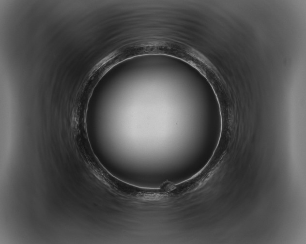 X0000085040826200703051349