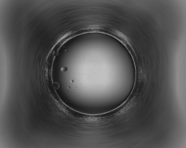 X0000085040827200703051349