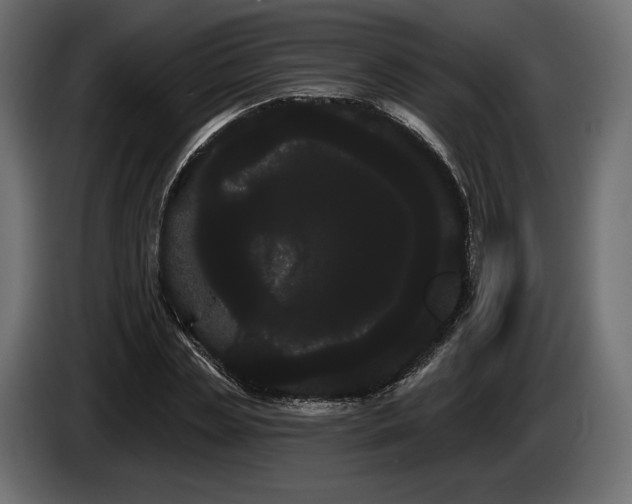 X0000085040829200703051349