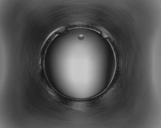 X0000085040830200703051349