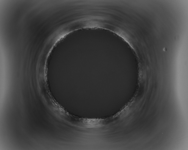 X0000085040832200703051349