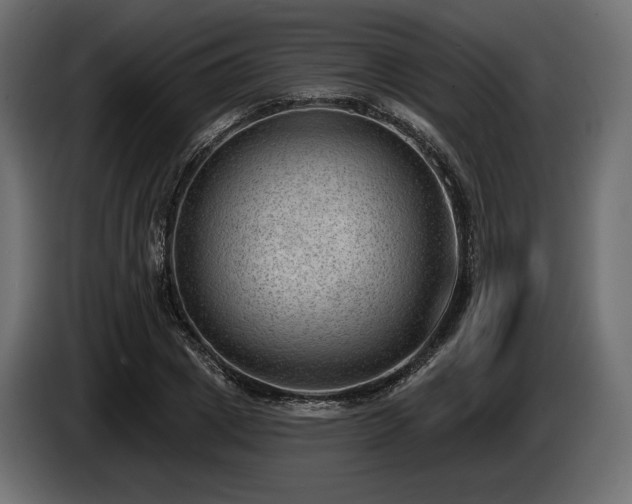 X0000085040833200703051349
