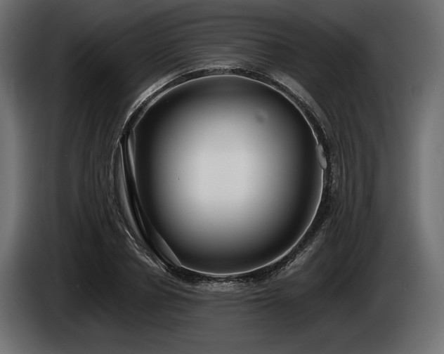 X0000085040834200703051349