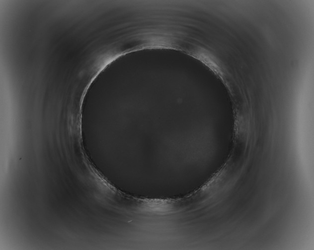 X0000085040836200703051349