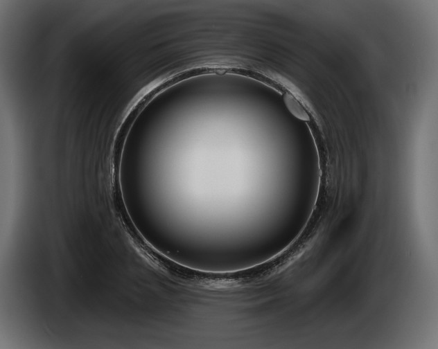 X0000085040837200703051349