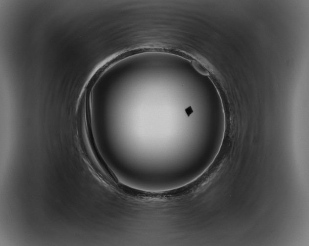 X0000085040838200703051349