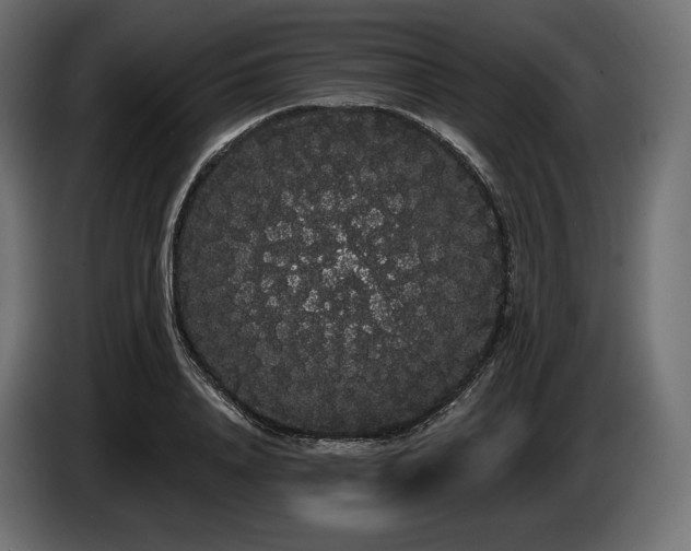 X0000085040840200703051349