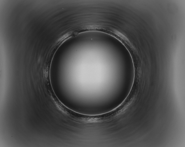 X0000085040841200703051349