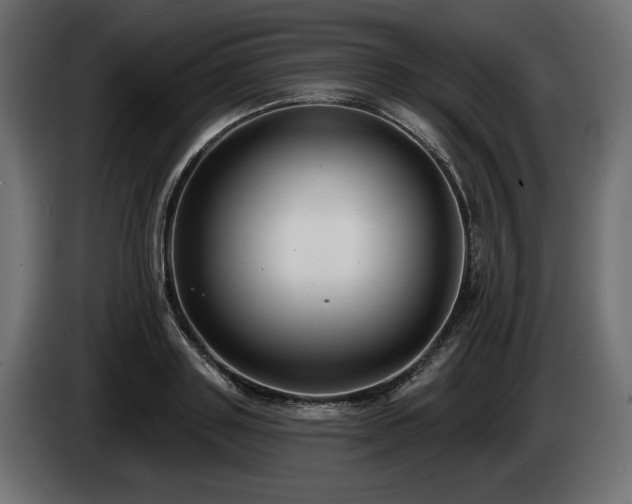 X0000085040843200703051349