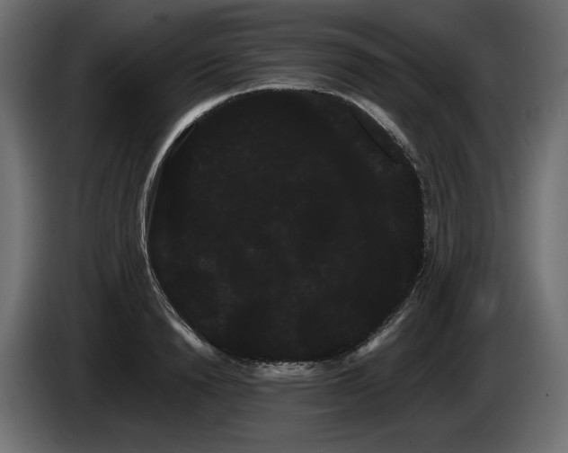 X0000085040846200703051349
