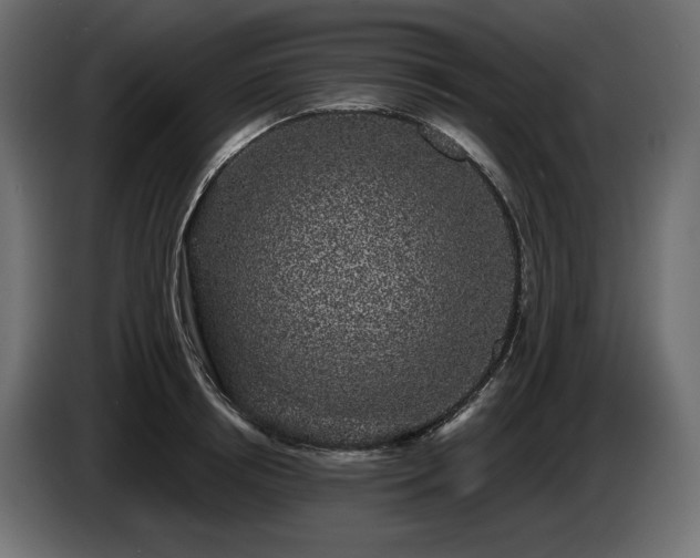 X0000085040850200703051349
