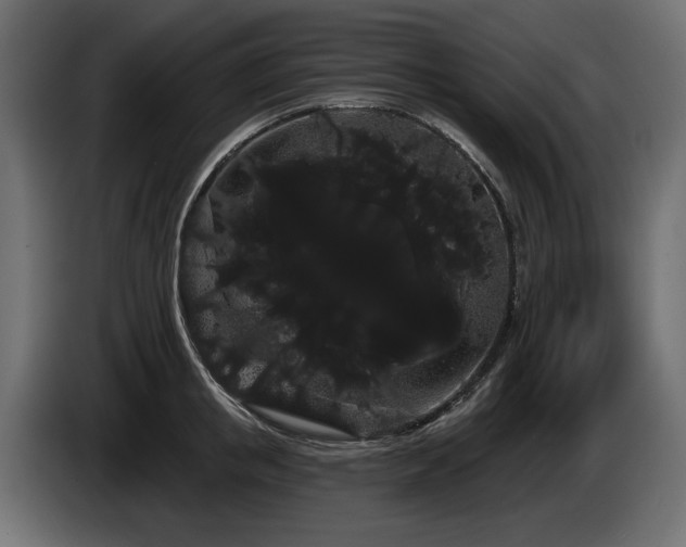 X0000085040853200703051349