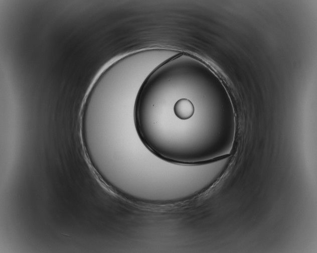 X0000085040854200703051349
