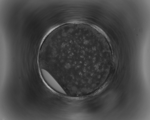 X0000085040855200703051349
