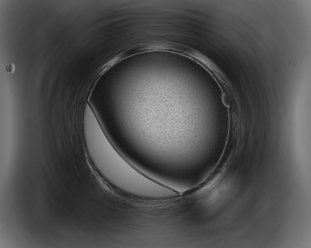 X0000085040857200703051349