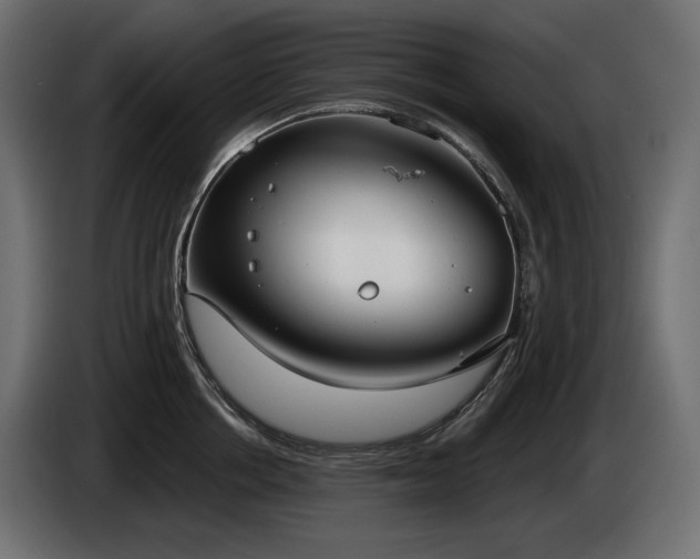 X0000085040858200703051349