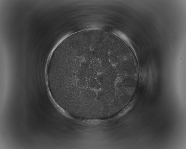 X0000085040859200703051349