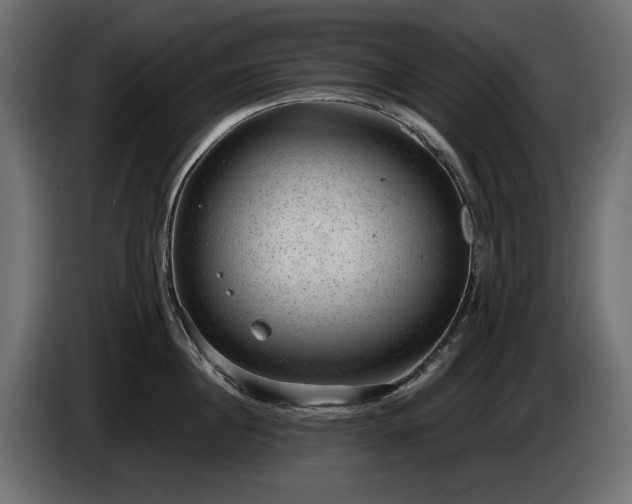 X0000085040860200703051349
