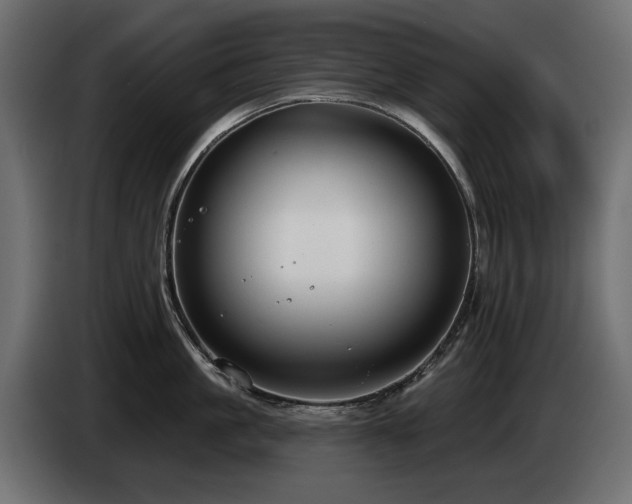 X0000085040861200703051349