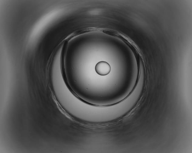 X0000085040862200703051349
