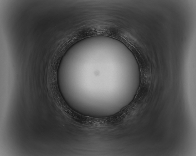 X0000085040865200703051349