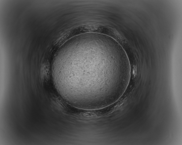 X0000085040867200703051349