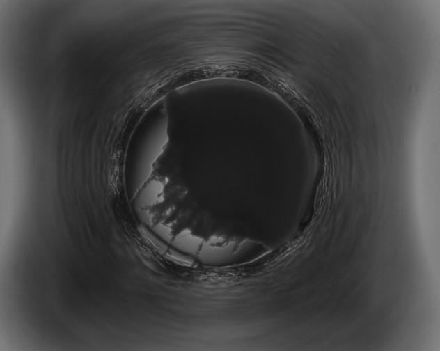 X0000085040868200703051349