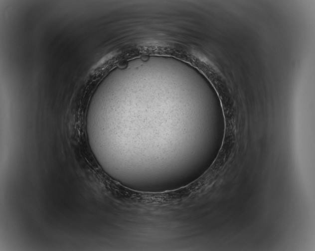 X0000085040870200703051349
