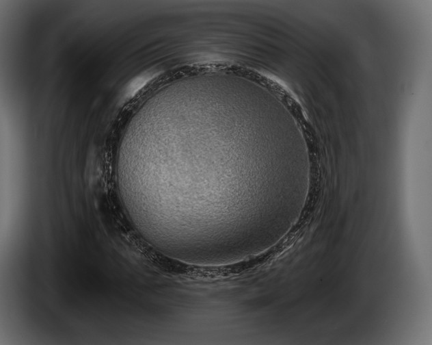 X0000085040871200703051349