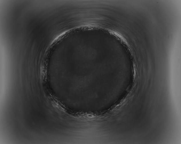 X0000085040872200703051349