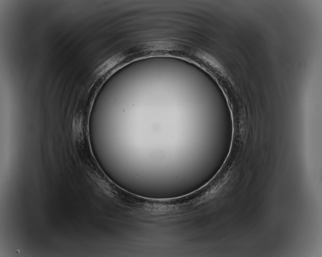 X0000085040873200703051349