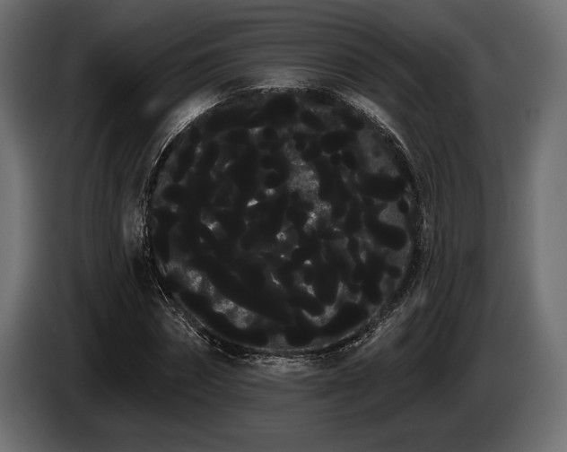 X0000085040874200703051349