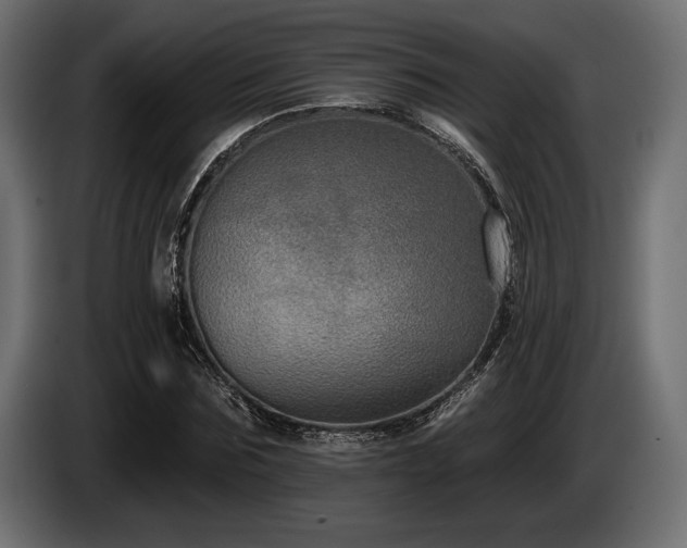 X0000085040875200703051349
