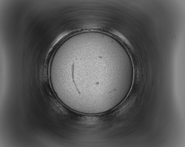 X0000085040878200703051349