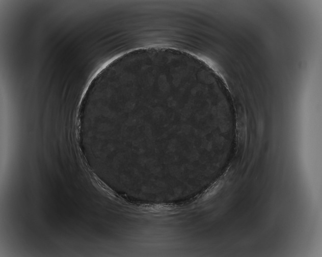 X0000085040879200703051349