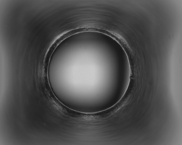 X0000085040880200703051349