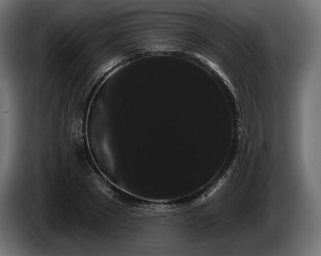 X0000085040881200703051349