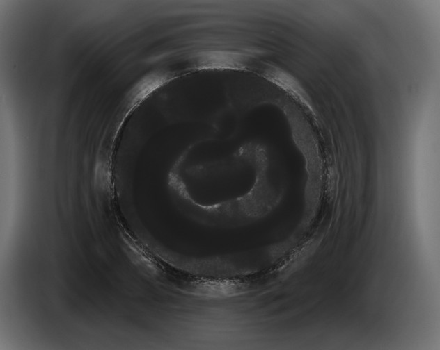 X0000085040882200703051349