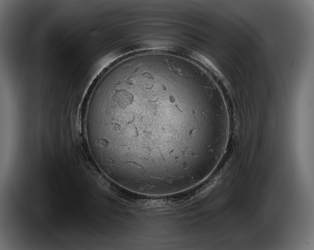 X0000085040883200703051349