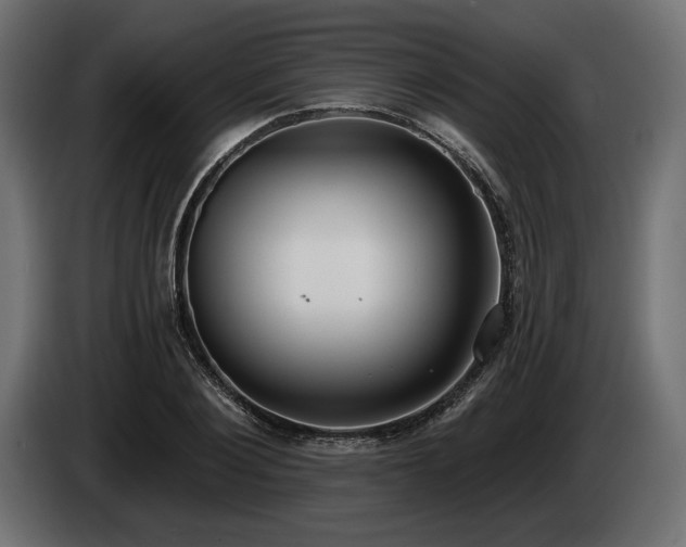 X0000085040884200703051349