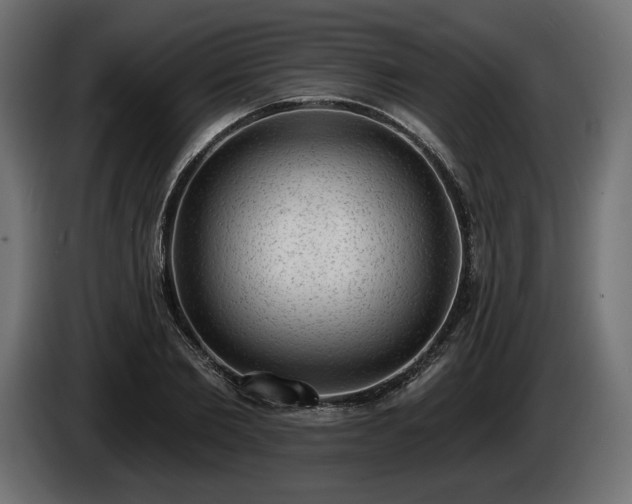 X0000085040885200703051349