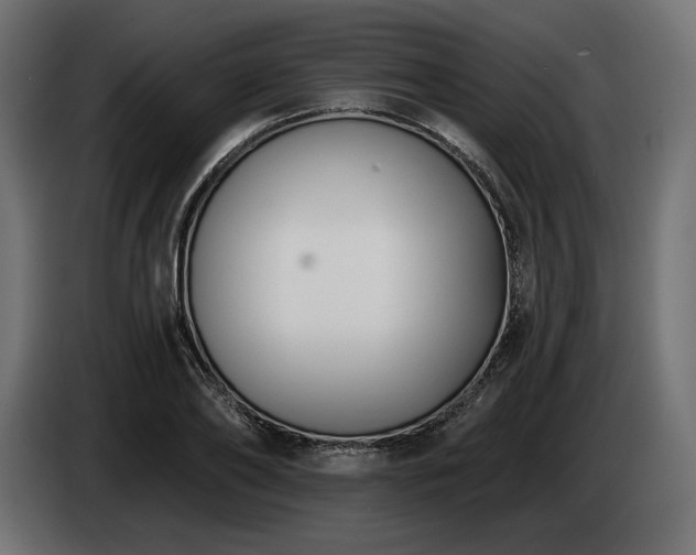 X0000085040886200703051349
