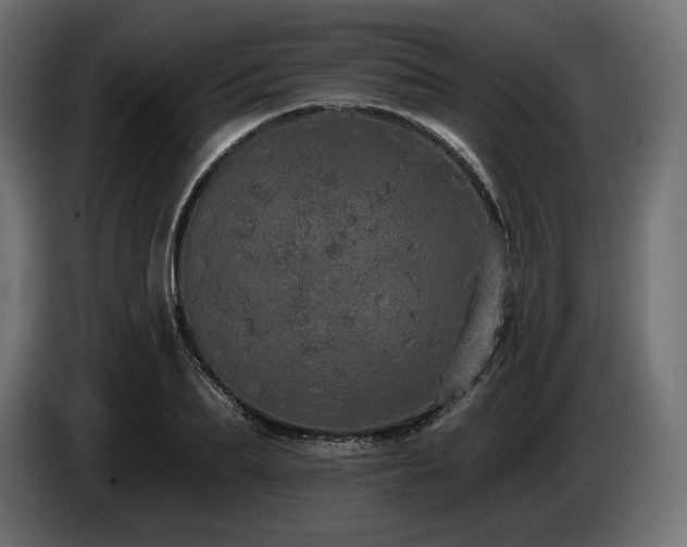 X0000085040887200703051349
