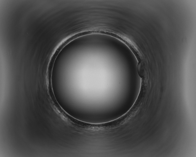 X0000085040888200703051349