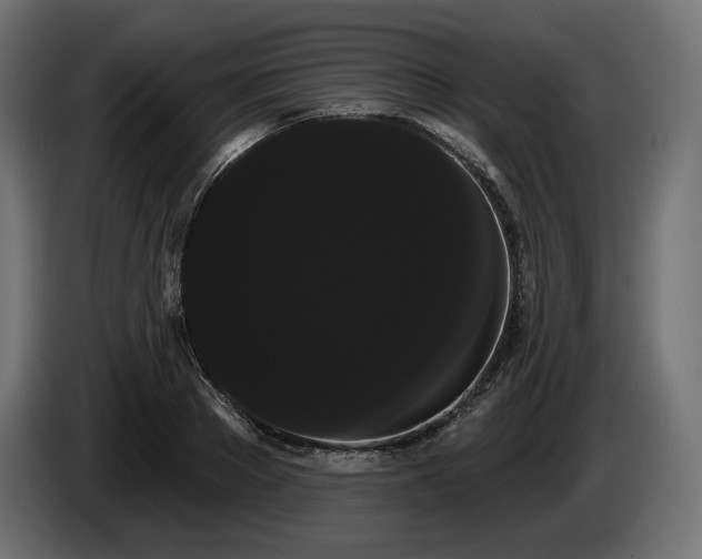X0000085040889200703051348
